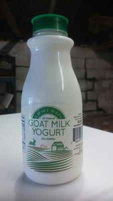 Goat Milk Yogurt Colov Yisroel