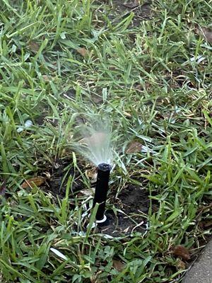 Allied Sprinkler and Repair