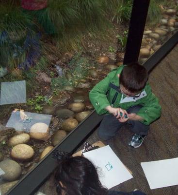 Learning in the atrium