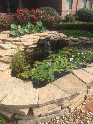 Soothing pond out front