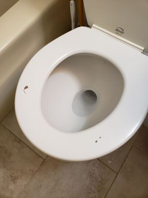 chips on toilet seat.