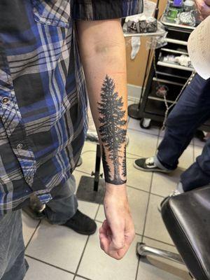 Tree tattoo