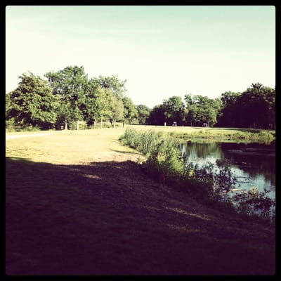 7th Tee box