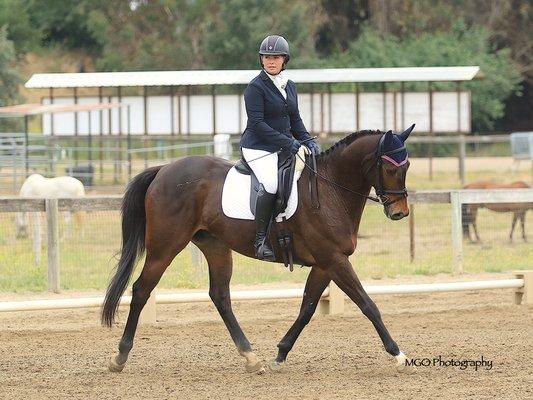 Stacia Arnold Equestrian Sports