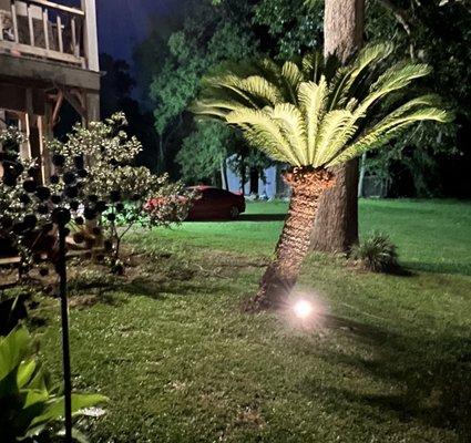 Landscape lighting