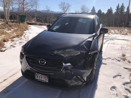 Deer vs Car at 50mph