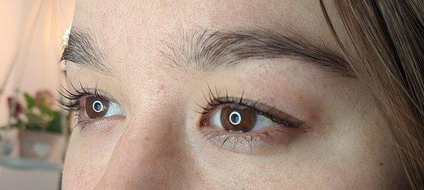 Keratin Lash Lift, lashes for days... 6-8 weeks actually!