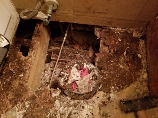 Water damaged flooring. Removed all tile, subfloor in bathroom.