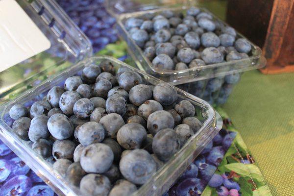 Jersey Blueberries