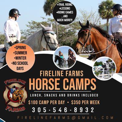 Horse Camps all year long!