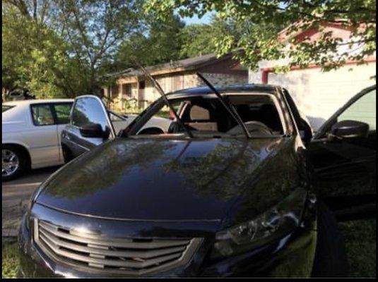 Honda Accord Windshield Replacement