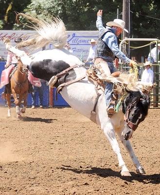 Philomath Frolic & Rodeo