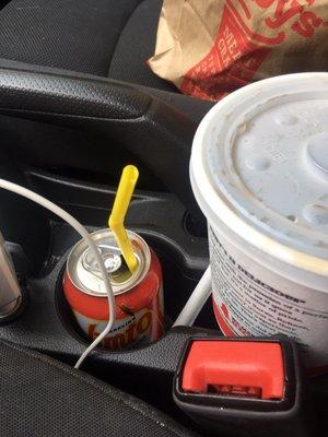 Roaches helping themselves to some refreshing soda in my rental car