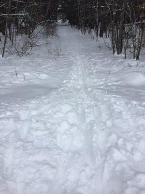 Take the wooded trail with your cross country skis, snowshoes, or boots.