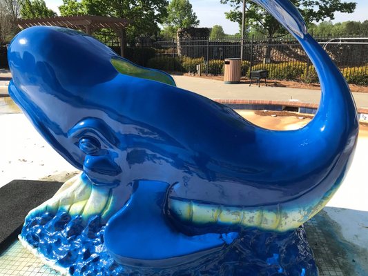 Whale at a pool I did we also do water slides and splash pads