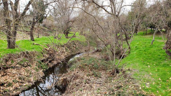 Creek in winter from the bridge.