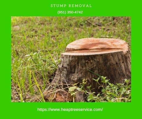 Stump Removal