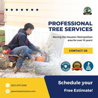 Professional Tree Services!