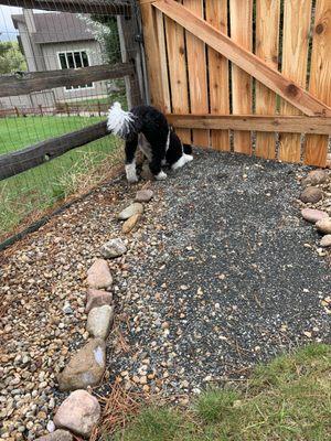 Again the bottom of the gate is uneven and would have allowed our dog to escape