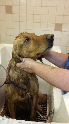 relaxing warm bath