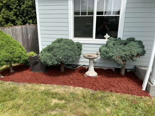 Front yard flower bed