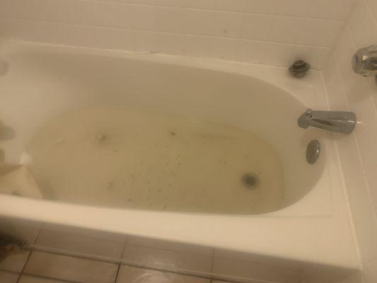 Sewage in bathtub