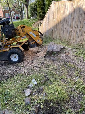 Stump Removal