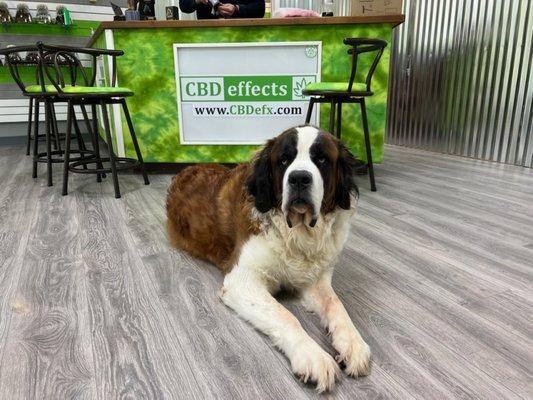 CBD effects Towson