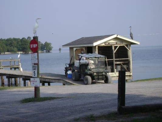 Fish Cleaning Station