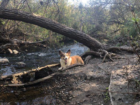 Penasquitos Creek Park