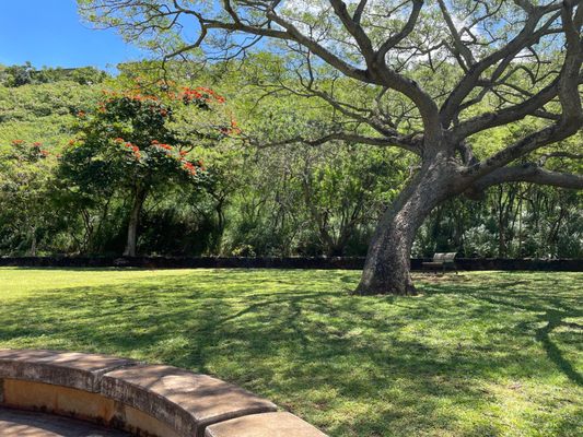 Shaded bench