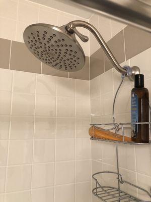 New shower head