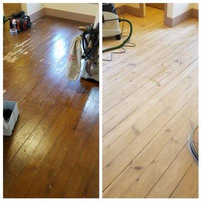 A before and after sanding of a 140 yr old pine floor