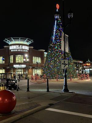 Barnes and Noble