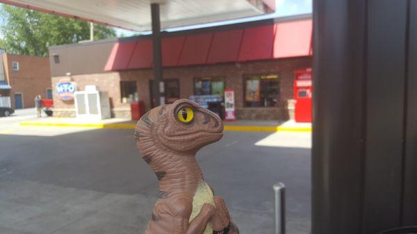 Bob the Raptor Says "Cars come here to get a drink."