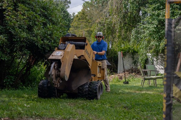 Baltimore Stump Grinding