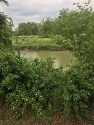 Look at that back side of the creek, great on your back casts on fly fishing.  This pick is from the park.