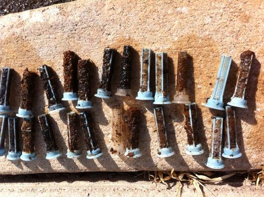 Irrigation we do it ! you might not know this but these filters are from your sprinkler heads loss of pressure can cost