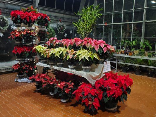 Potawatomi Conservatories