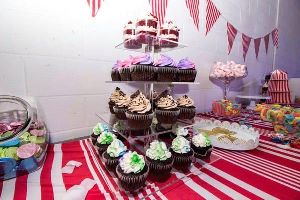 Vegan Cupcakes  (vanilla / chocolate frosting)