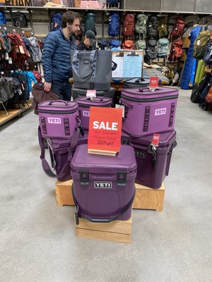 Purple YETI Coolers