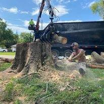 Stump Removal