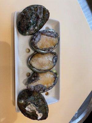 Live Ezo Awabi (Abalone)