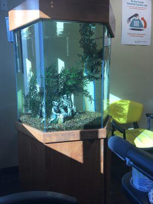 Fish tank in waiting room