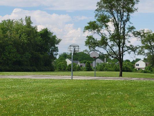 Basketball court