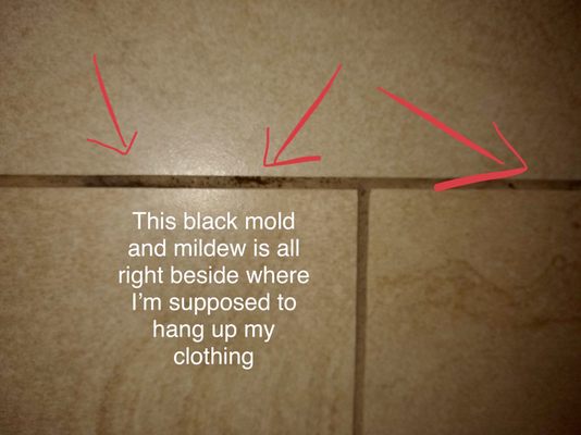 Black mold