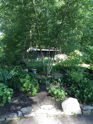 A view of the outside kennels through the peaceful gardens surrounding the area.