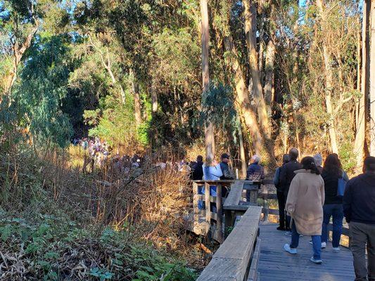 Monarch butterfly boardwalk/ trail