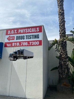 Drug Test & Dot Physical Exam