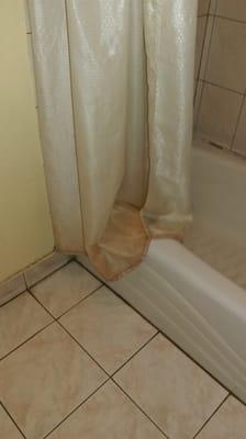 Red Period Stains on shower curtain